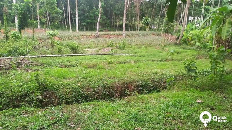 PLOT FOR SALE
