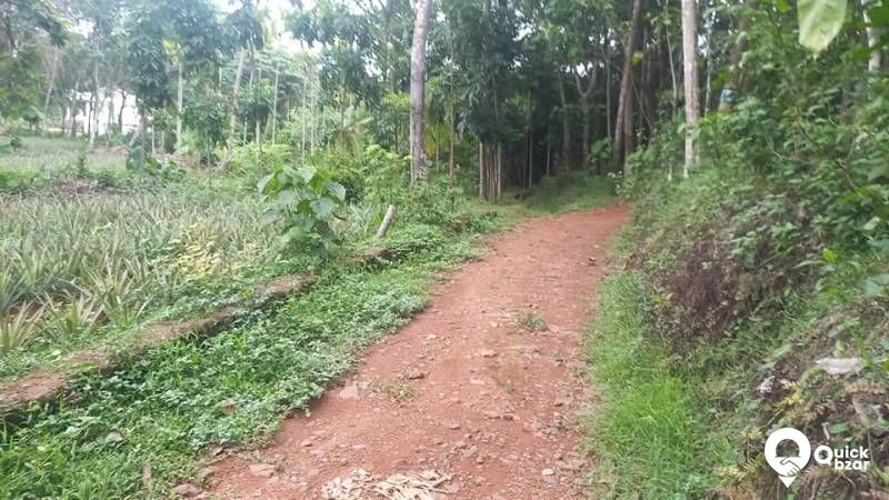 PLOT FOR SALE