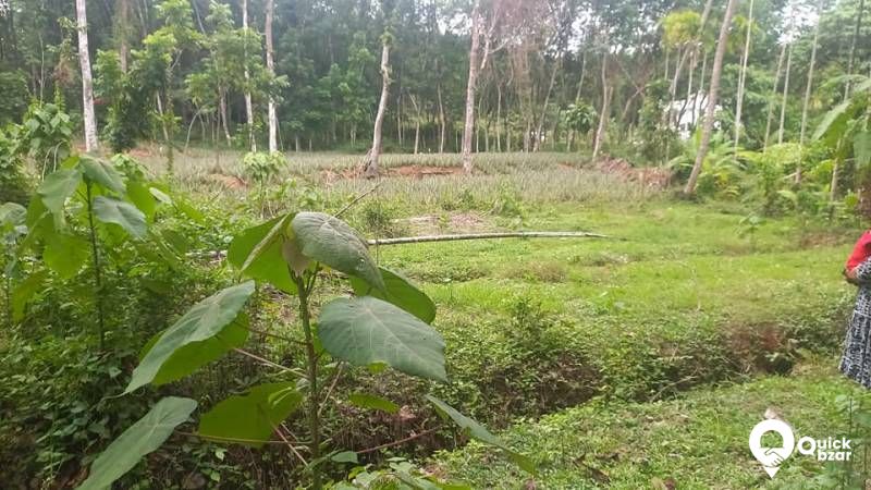 PLOT FOR SALE