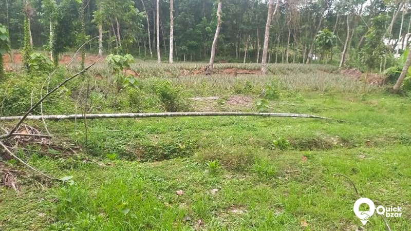 PLOT FOR SALE