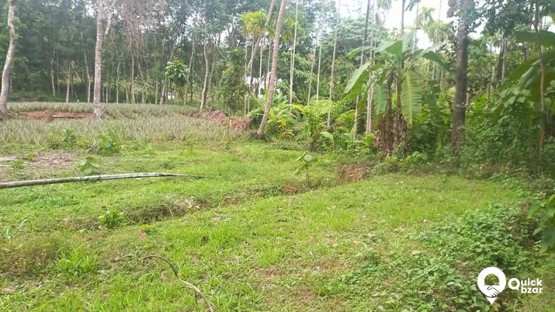 PLOT FOR SALE