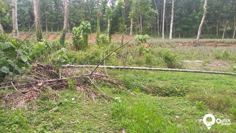 PLOT FOR SALE