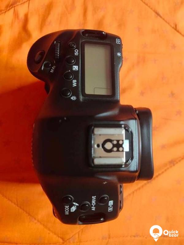 Canon 1DX