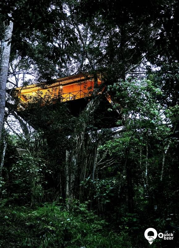 R8 VR V Tree House + Breakfast + Lunch and Dinner