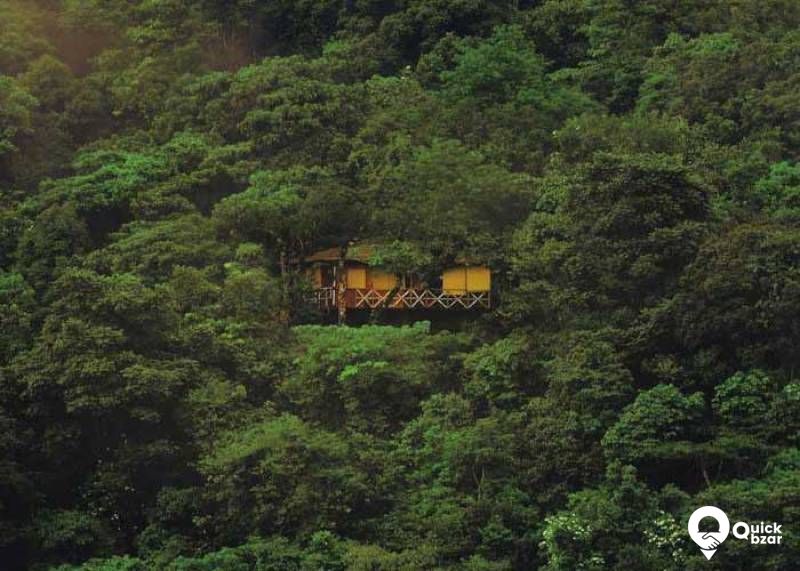 R8 VR V Tree House + Breakfast + Lunch and Dinner