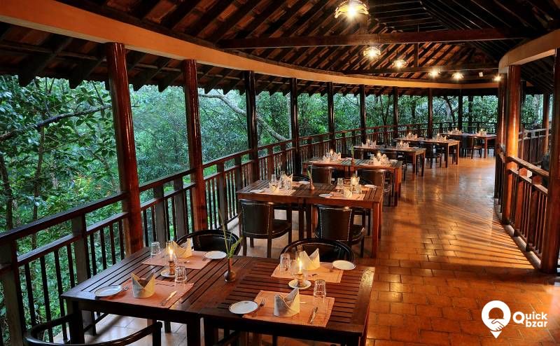 R8 VR V Tree House + Breakfast + Lunch and Dinner