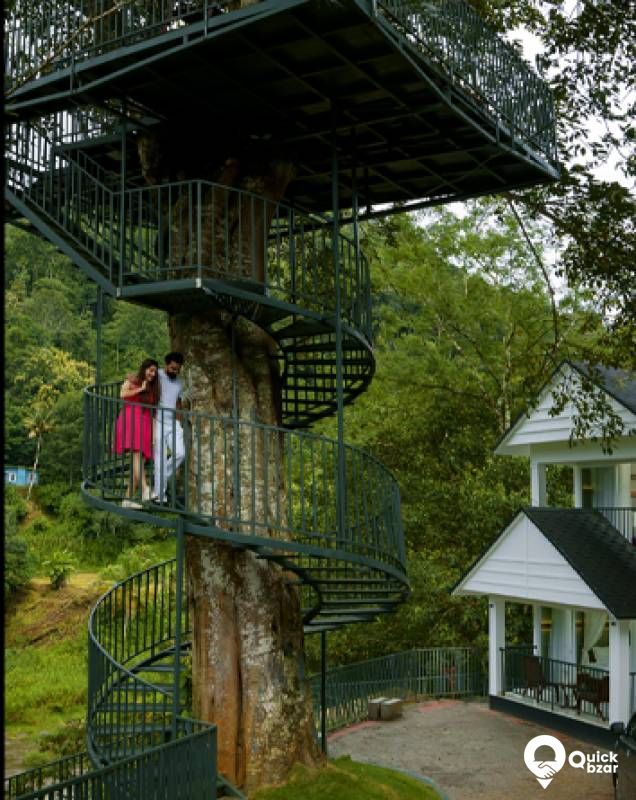 R10 EW Misty Cabin