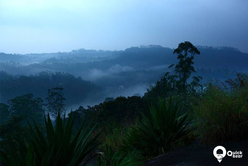 R11 A Nature View