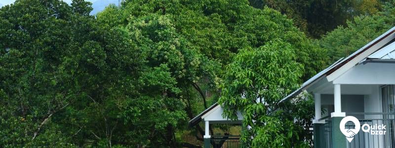 R11M MTH honeymoon