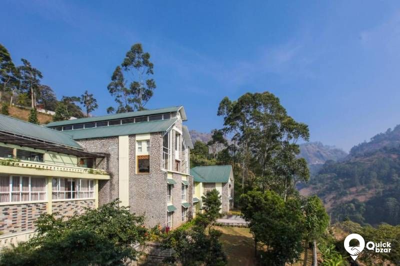 R5M DG Valley Wood