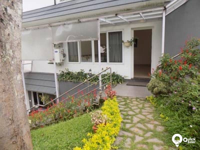 R24M SWC Alpine suite