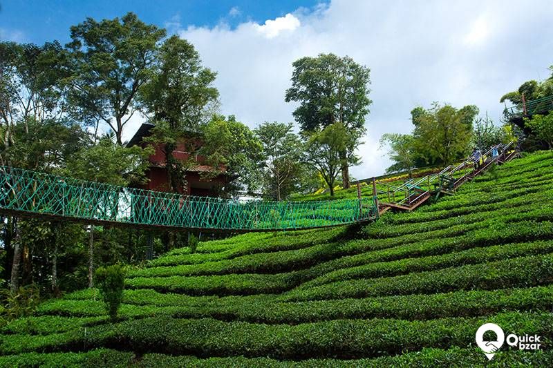 R26M DC Tea Garden Honeymoon Cottage