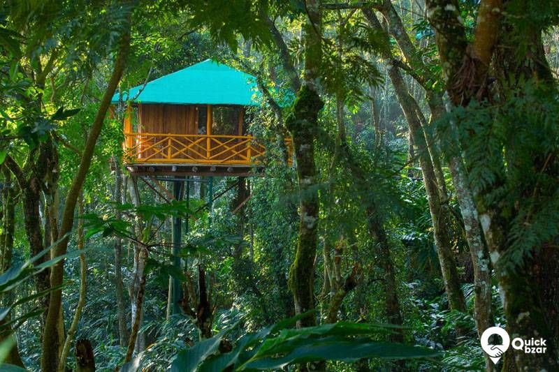 R26M DC Tree House