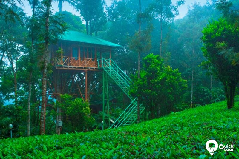 R26M DC Tree House