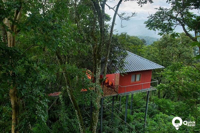 R26M DC Tree House
