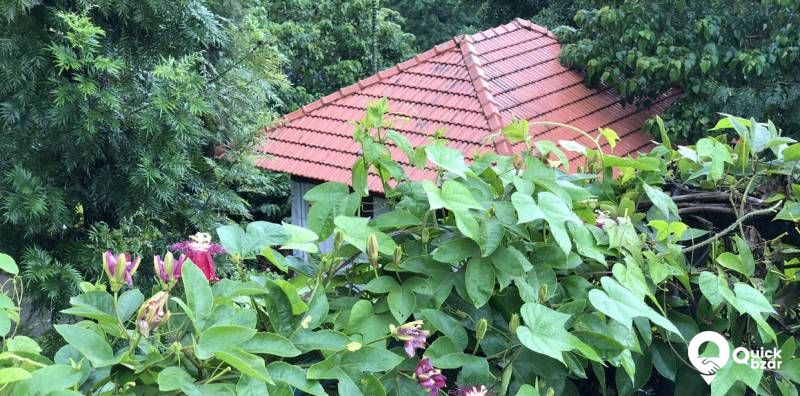 R13W MS WOODEN COTTAGES