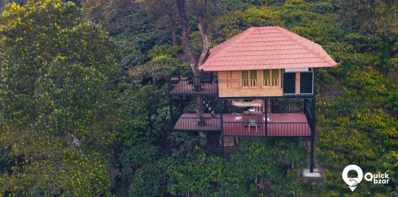 R13W MS tree house