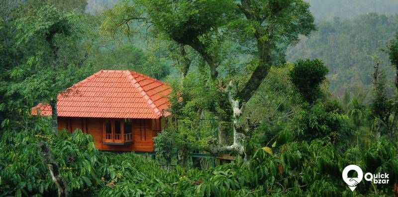 R13W MS tree house