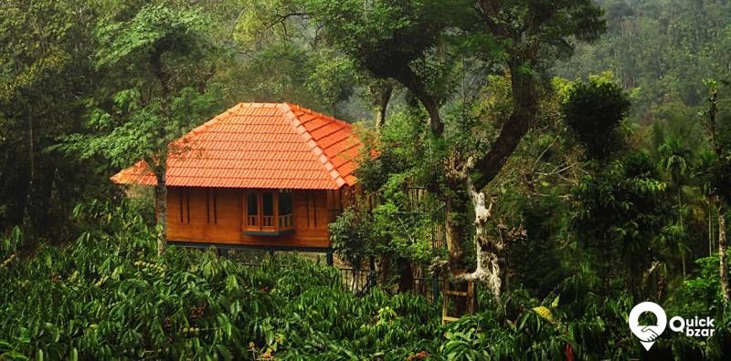 R13W MS tree house