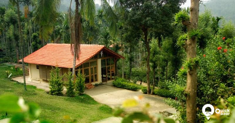R13W MS tree house