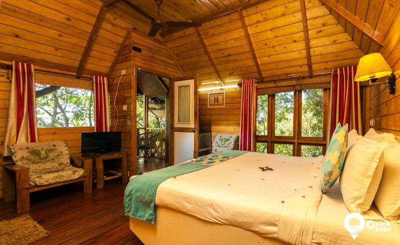 QB Stay-R40M GE Tree House