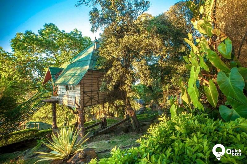 QB Stay-R40M GE Tree House