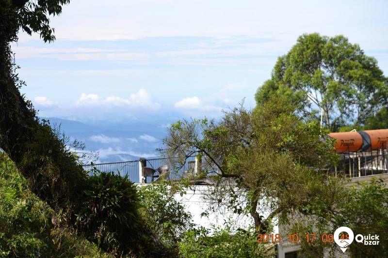 QB Stay-R40M GE Tree House