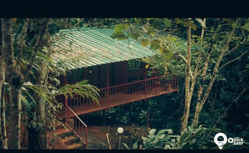 QB Stay-R43M EED Rock House