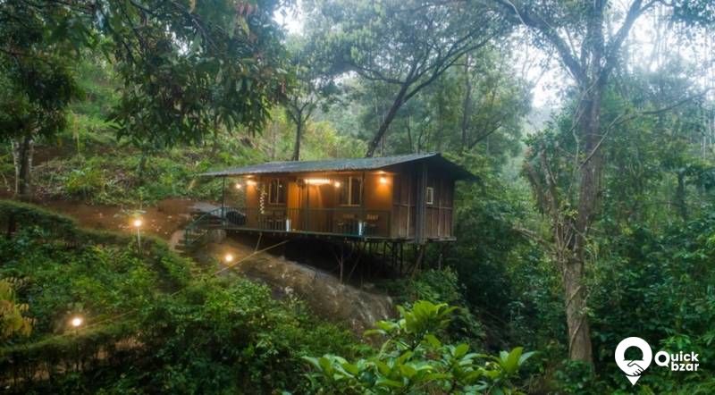 QB Stay-R43M EED Rock House