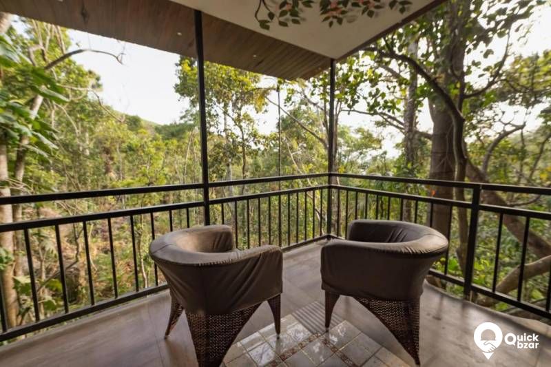 QB Stay- R49M PKT JUNGLE ROOM (2px)