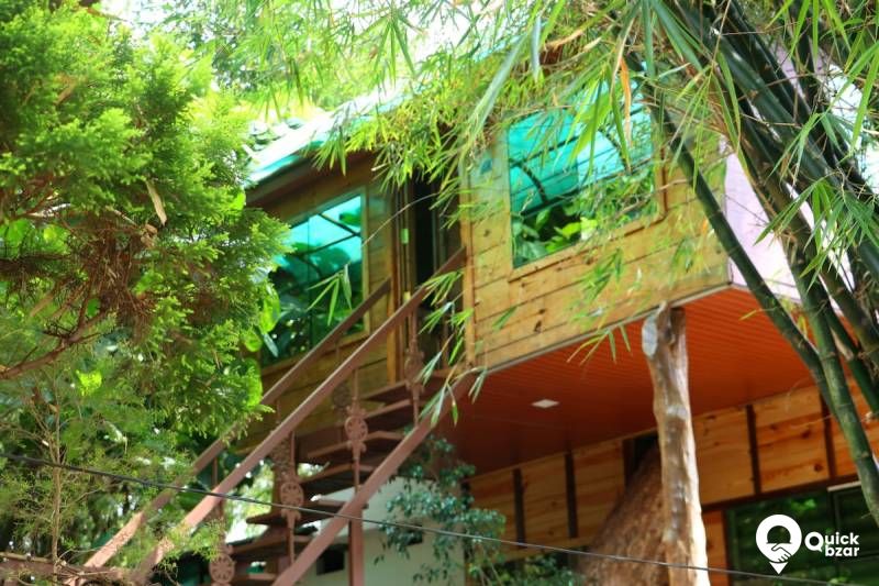 R63M SM TREE HOUSE