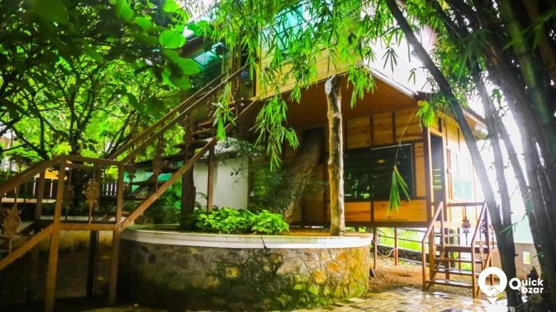R63M SM TREE HOUSE