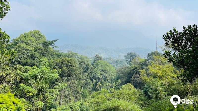 R63M SM TREE ESCAPE