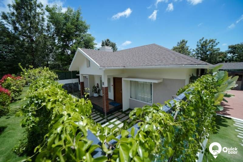 R20W JB BEETLE TREE HOUSE