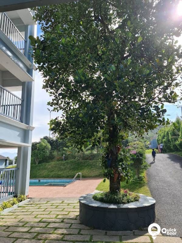 R66M PH  PREMIUM VALLEY VIEW ROOM