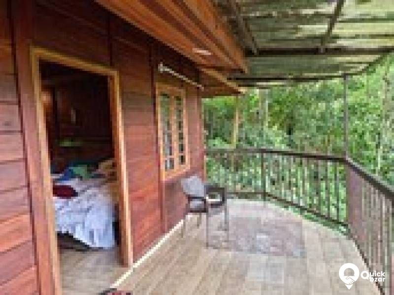 R67M SP IR WOODEN ROOM