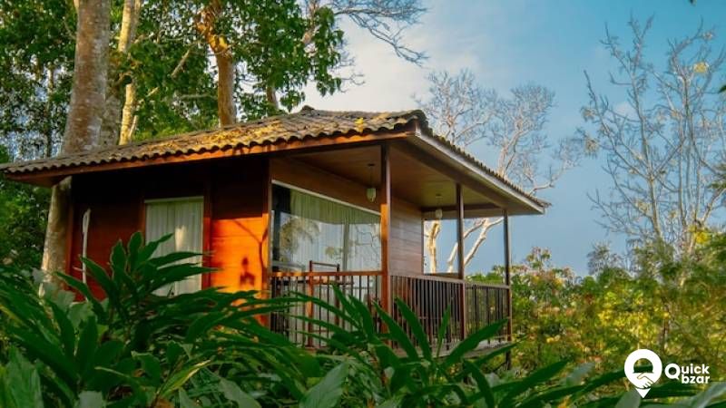 R67M SP IR TREE HOUSE