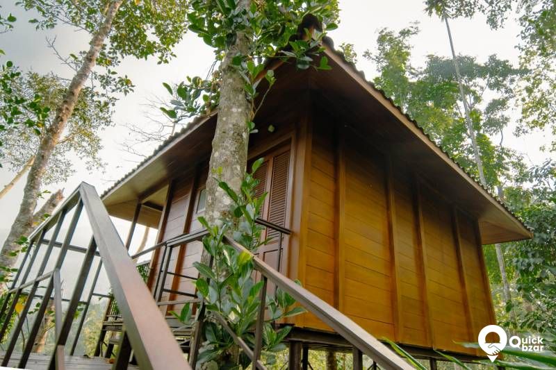 R67M SP IR TREE HOUSE