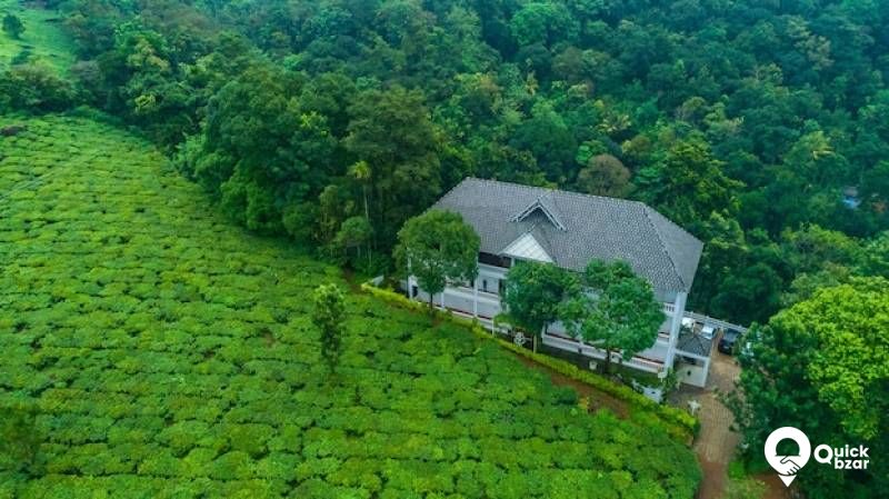 R71M TH SUPERIOR TEA VIEW ROOM