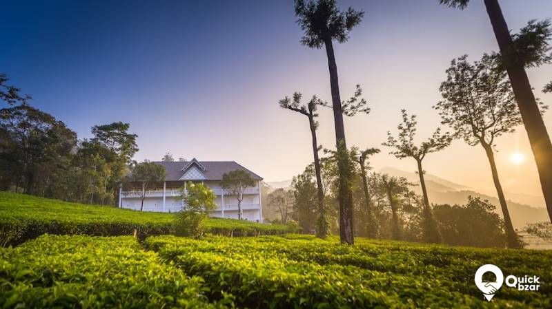 R71M TH SUPERIOR TEA VIEW ROOM