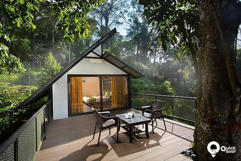 R78M BDR  TREEHOUSE (premium )