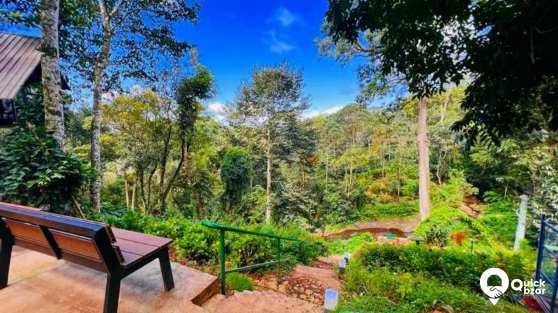 R78M BDR (mountain view room with balcony )