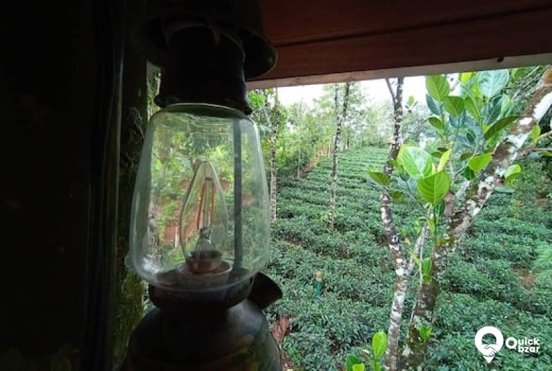 R106M CHM TREE HOUSE