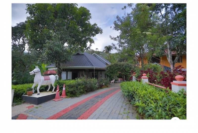 R106M CHM TREE HOUSE