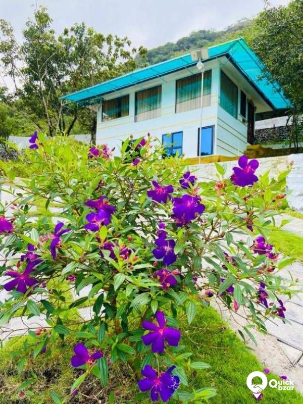 R9V THR  SHISHIRAM ITALIAN COTTAGE