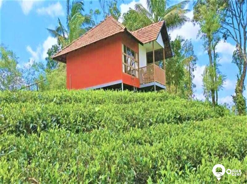 R35W JER COTTAGE