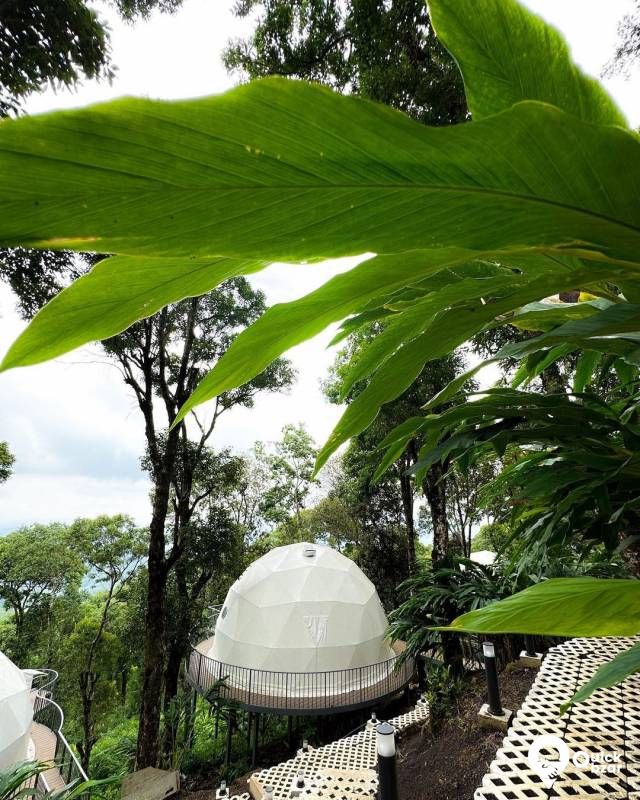 R11V WGD EXPERIENTIAL GEODESIA DOMES STAY