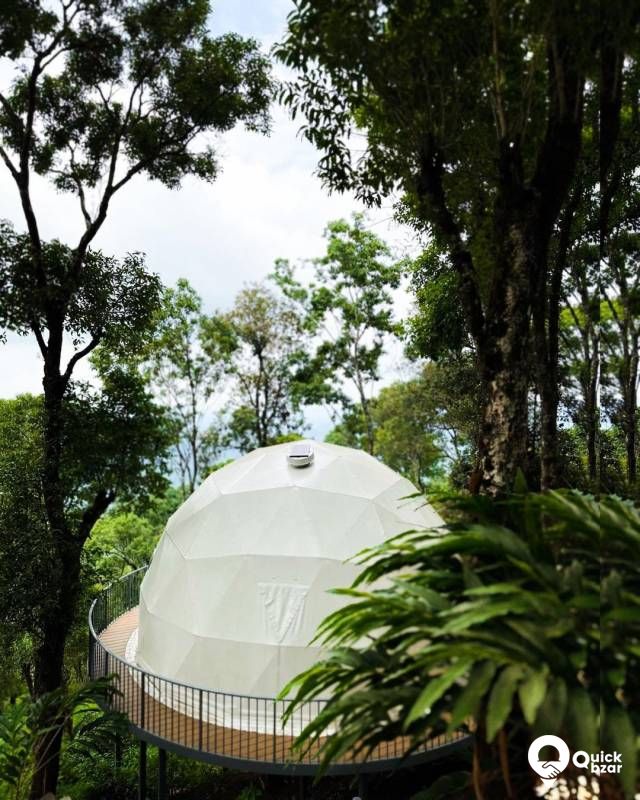 R11V WGD EXPERIENTIAL GEODESIA DOMES STAY