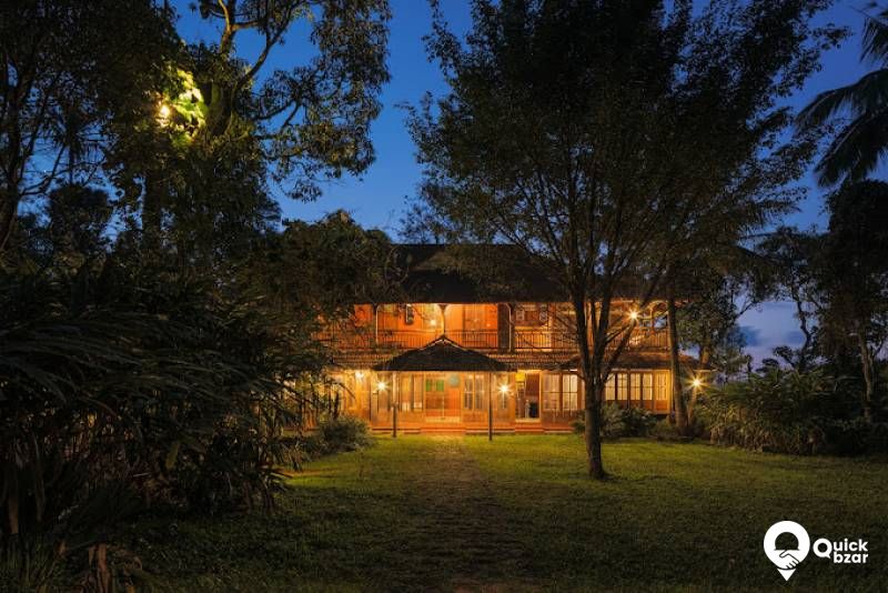 R113M TREE HOUSE