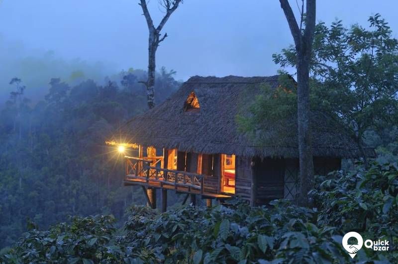 R1WH AH HORNBIL TREE HOUSE